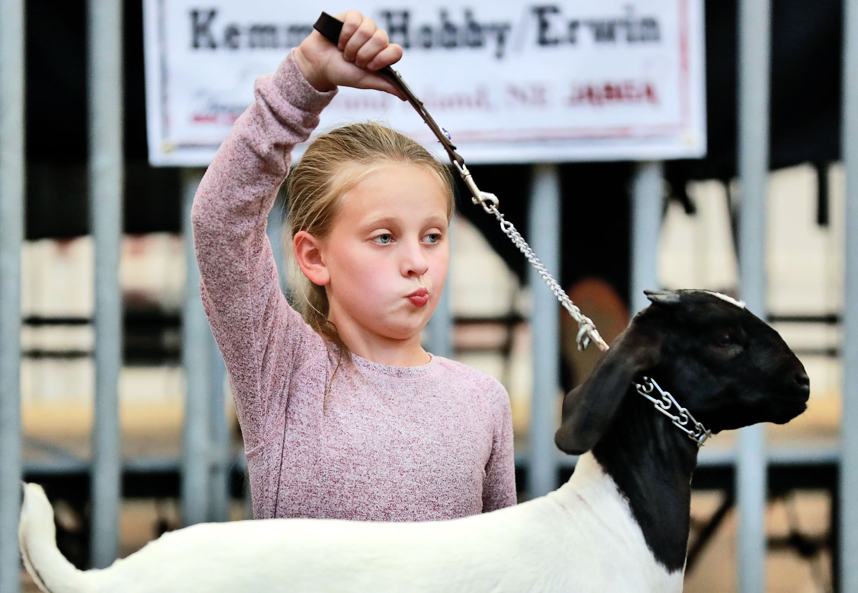 061119_BoerShow012_bjs.JPG